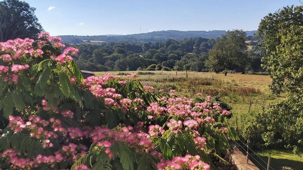 Champsac House | Small House "Gite À La Ferme" with Shared Pool, Private Garden and Wi-Fi