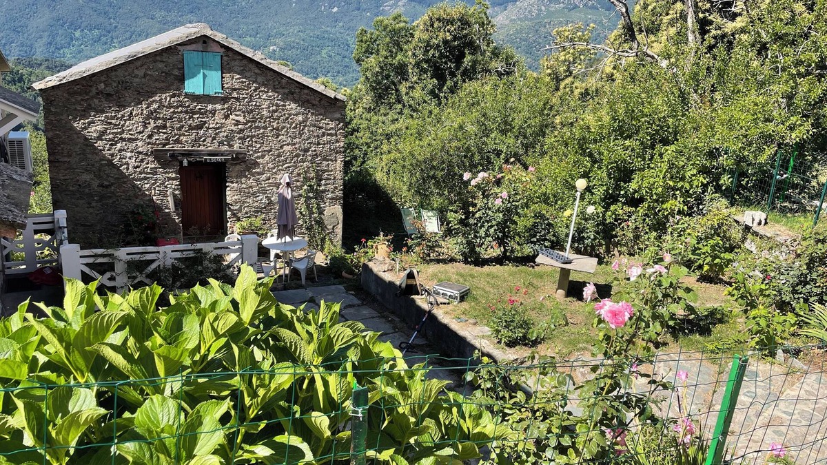 Felce House | Small house in the mountains in the heart of the chestnut grove in a village