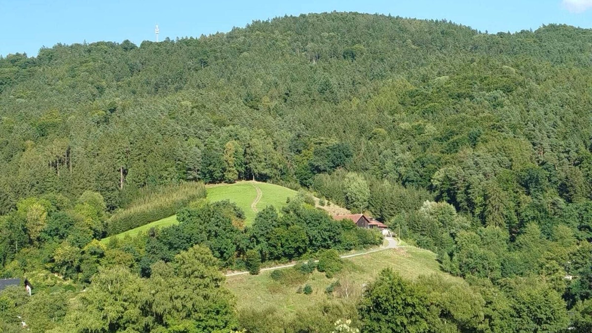 Stallwang Apartment | Small mountain farm in the Bavarian Forest. Beautiful terrace with fireplace