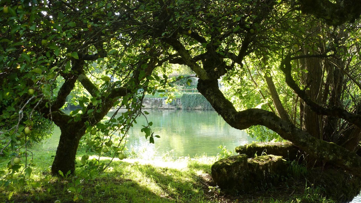 Ornans House | Small, quiet gite close to the center