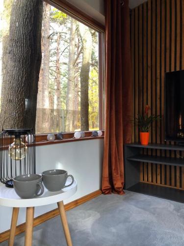 Jurmala House | Small resort Pini & SPA