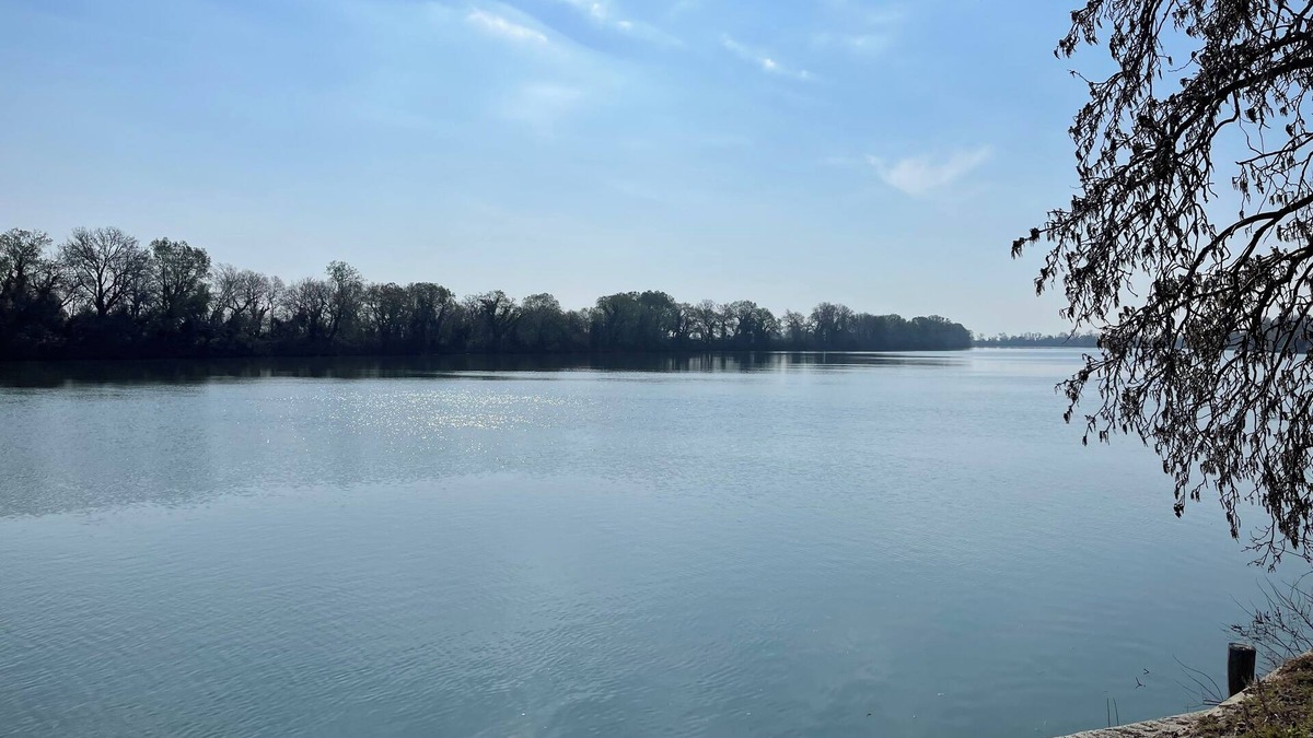 Sylvereal House | Small semi-detached house in the Camargue on the banks of the Petit Rhône