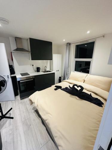 Magherafelt Apartment | Small Studio in Central London