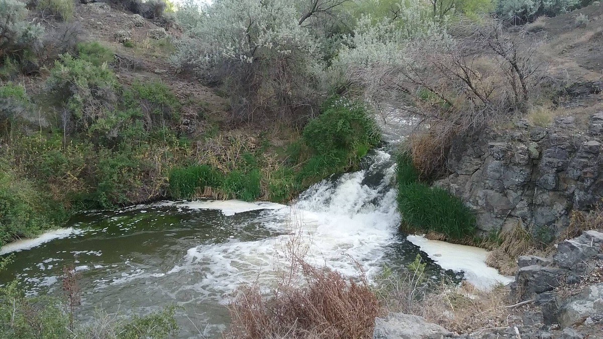 Buhl House | Snake R. Canyon/Creekside Retreat. Near 1000 Springs/Hot Springs/Balanced Rock