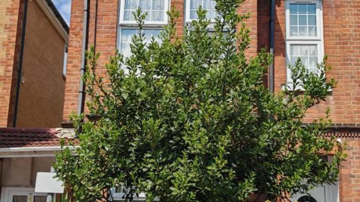 Slough Apartment | SnoozeDen Wellesley – Near to Slough Station