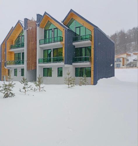 Bakuriani Apartment | snow forest bakuriani apartment eight