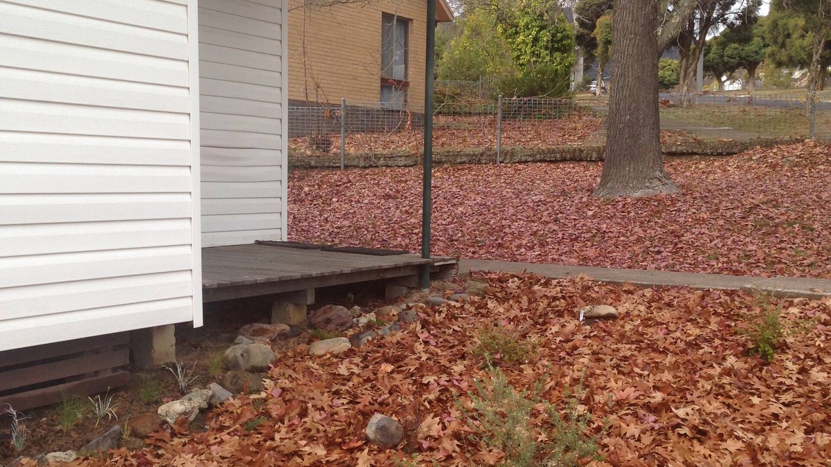 Talbingo Cottage | Snow Gum Cottage - Talbingo experience