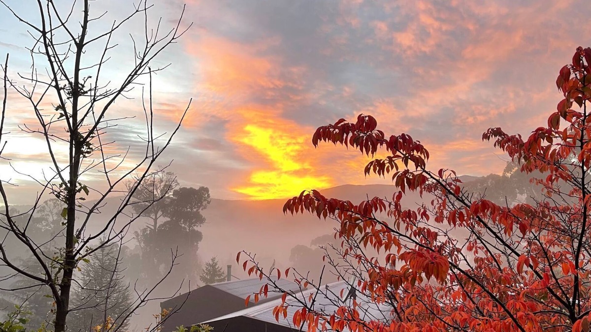 Yaouk House | Snowgums Mountain Retreat - the perfect retreat location