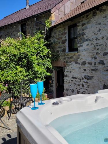 Blaencelyn House | Snuggle hot tub Dolgoy