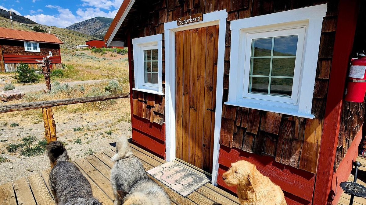 Cody Cabin | Soderberg cozy rustic cabin 5 min from Cody