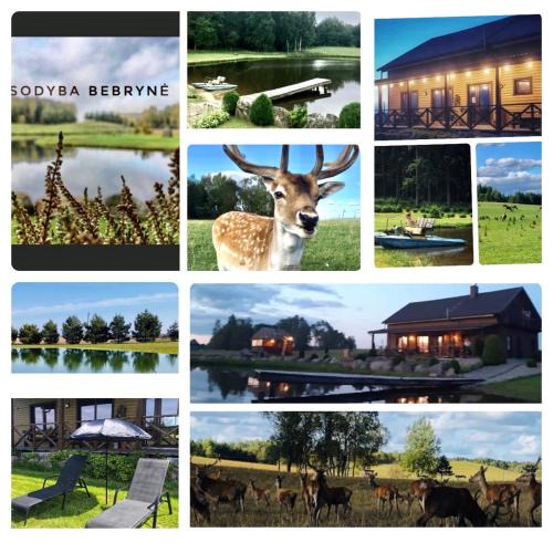 Renavas Villa | Sodyba Bebrynė
