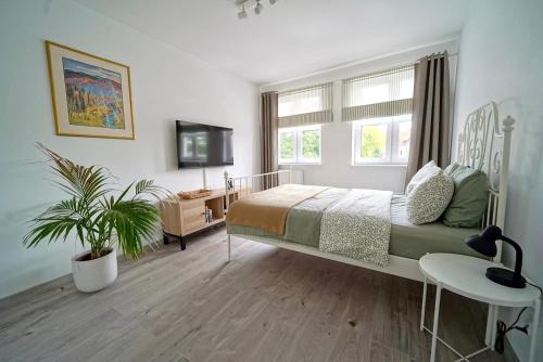 Paslek Apartment | Soft Apartamenty na Starówce