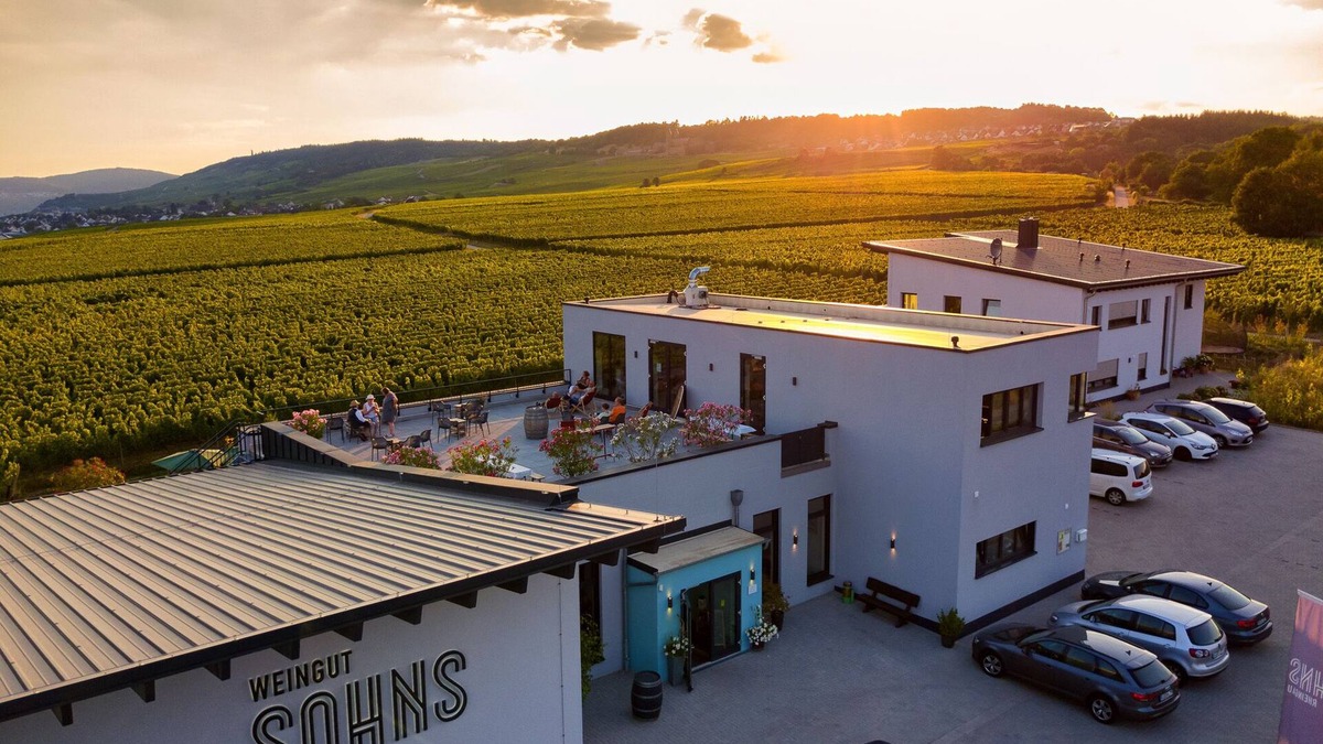 Geisenheim Apartment | SOHNS Apartments - Vacation in a winery