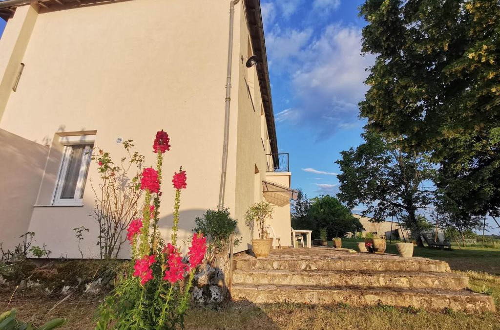 Miers House | Sol de la Dime
