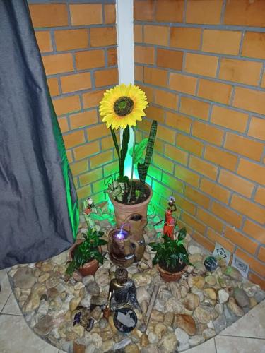 Pedrita Apartment | Sol do Girassol