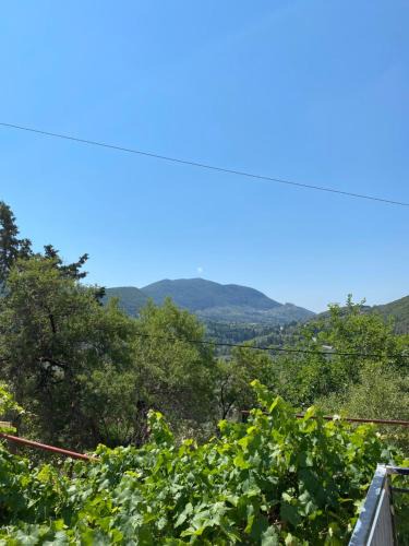 Katokhorion Apartment | Soldatos Stone House