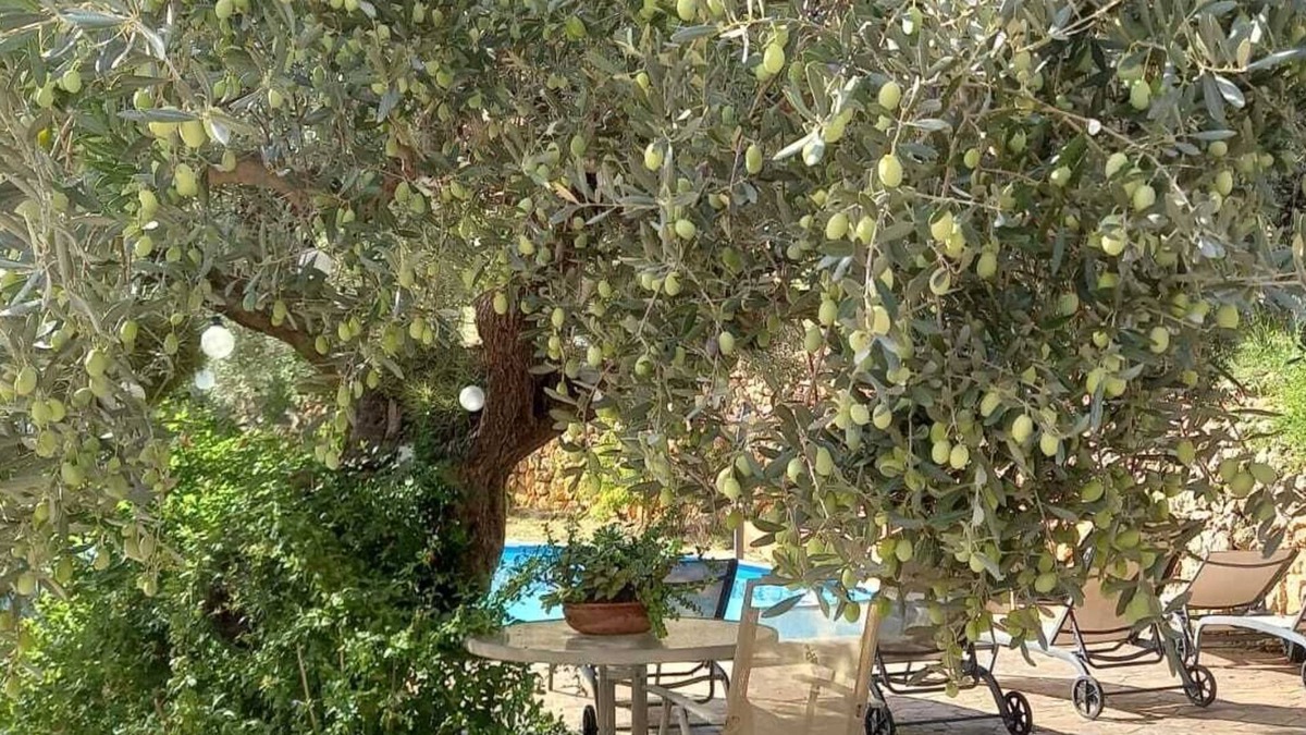 Caimari Cottage | SOLIVA.