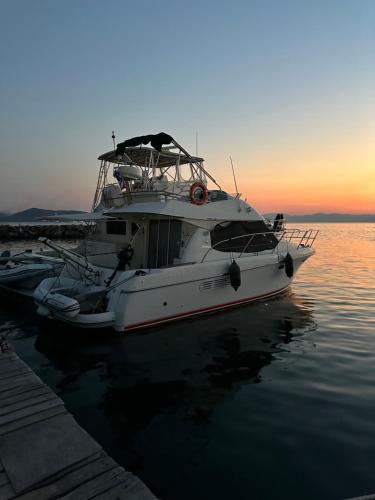 Aegina Boat Rental | Solmar Yacht
