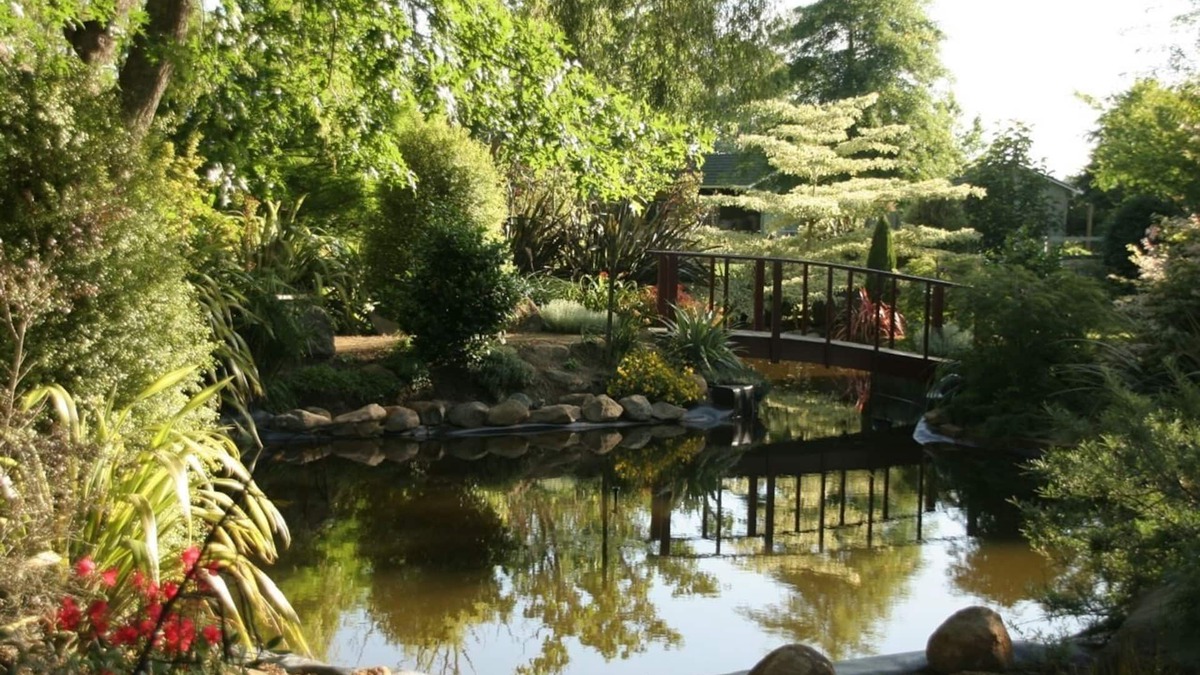Pirongia Bed & Breakfast | Somersal Bed & Breakfast