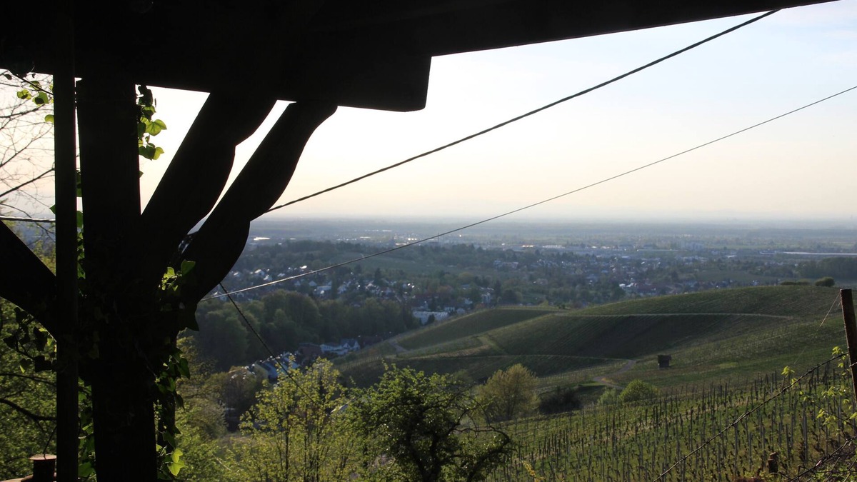 Albersbach House | Something special for nature lovers with a wonderful distant view