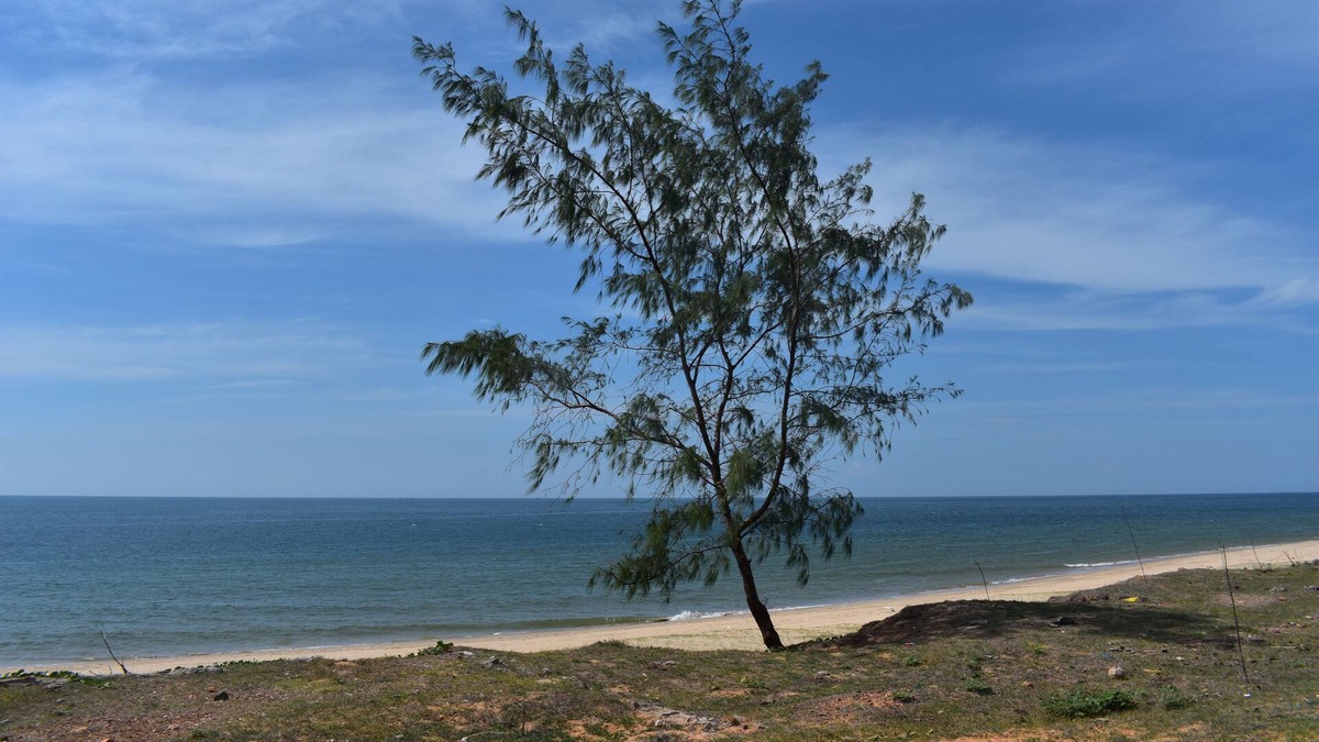 East Ham Tien Beach Hotel | Son Tra Guest House