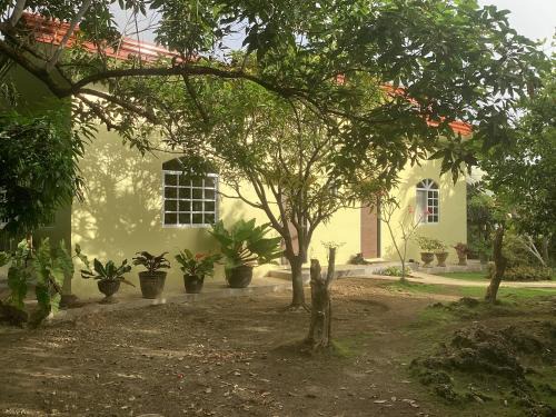 Loon Apartment | Sondol Guesthouse