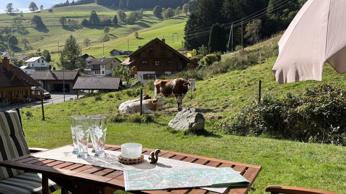 Todtnau Apartment | Sonnenblick II by Interhome