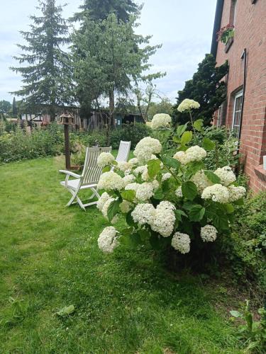 Lasbek Apartment | Sonnenscheinhof Alpakas, Ferienwohnung
