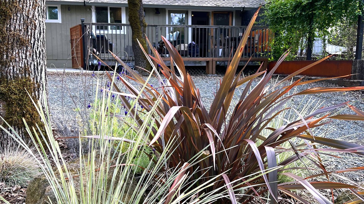 Fetters Hot Springs-Agua Caliente House | Sonoma Wine Country Cottage for Monthly Rental-3 miles from Sonoma Square!