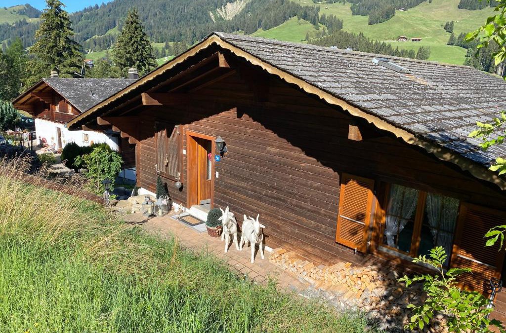 Schwarzsee Apartment | Sorgenfrei