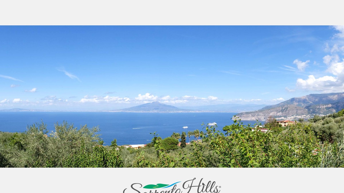 Priora Bed & Breakfast | Sorrento Hills - View of the bay
