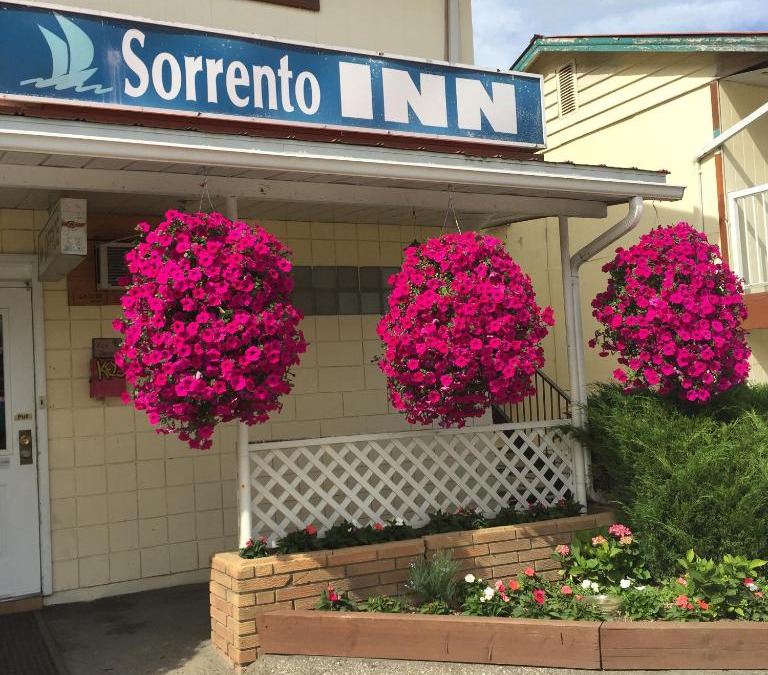 Sorrento Hotel | Sorrento Inn Motel