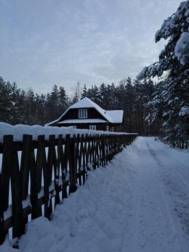 gmina Harasiuki House | Sosnowy Domek