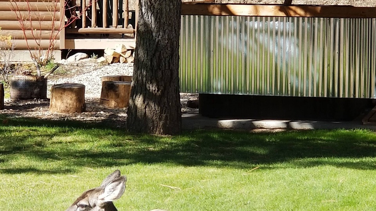 Lowman Hotel | Sourdough Lodge