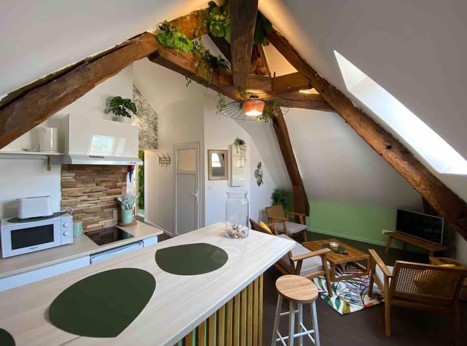 Ablis Apartment | Sous les tropiques d’Ablis