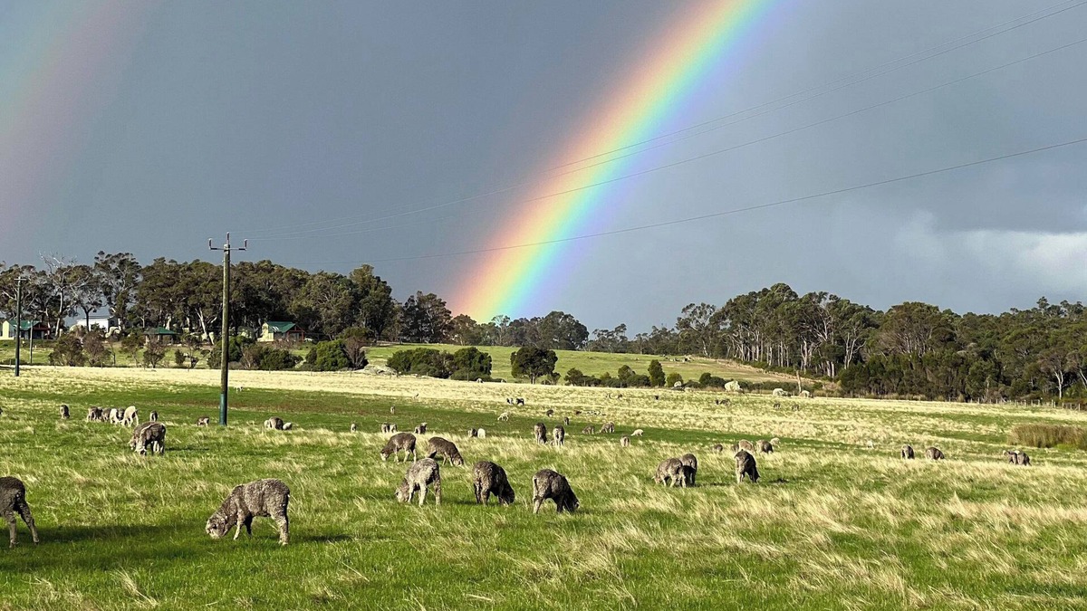 Bow Bridge Other | Southern Grazing - Working Farm