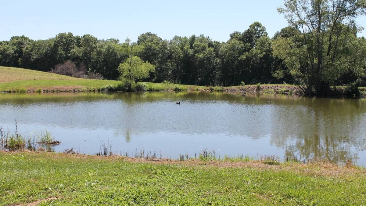 Thompsonville Cabin | Southern Il. Lodge with a View and a pond