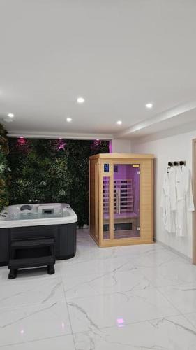 Bar-le-Duc Apartment | Spa des ducs loft 3