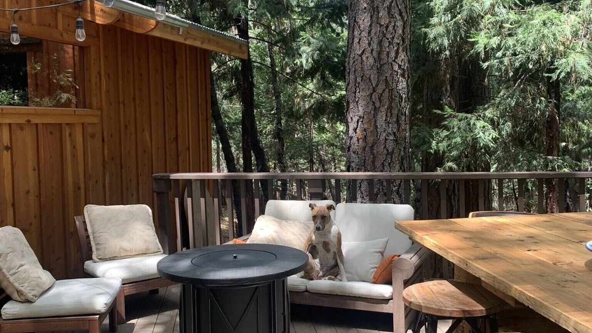 Rough and Ready Cottage | Spa getaway forest cottage