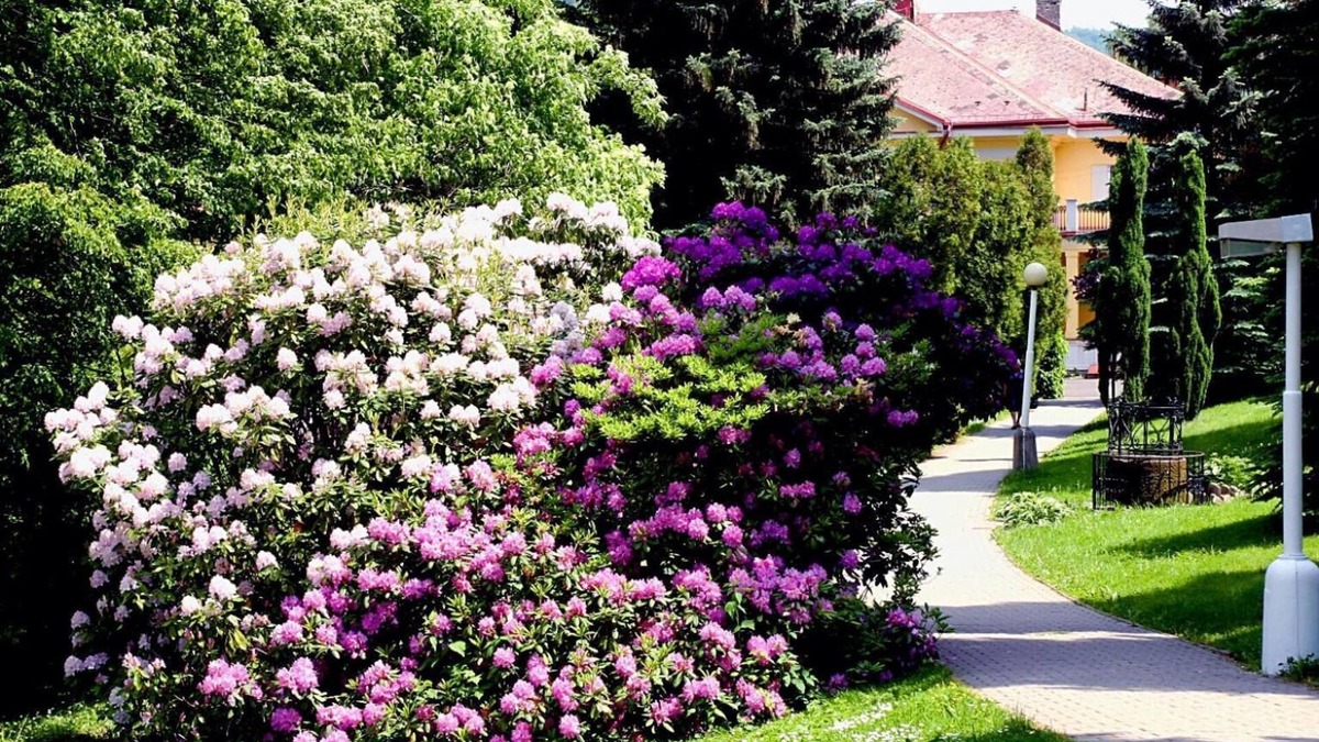 Lazne Libverda Hotel | Spa Resort Libverda - Villa Friedland