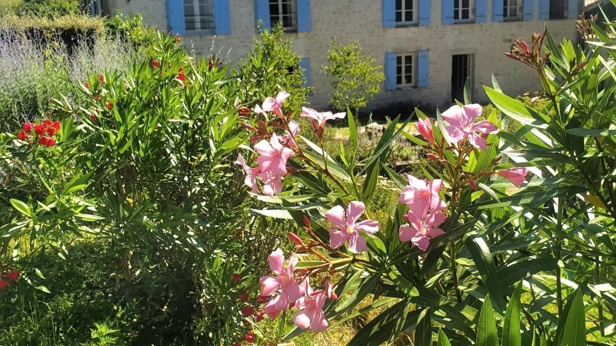 Saint-Georges-des-Agouts Other | Spacious, recently converted Charentais farmhouse in small commune