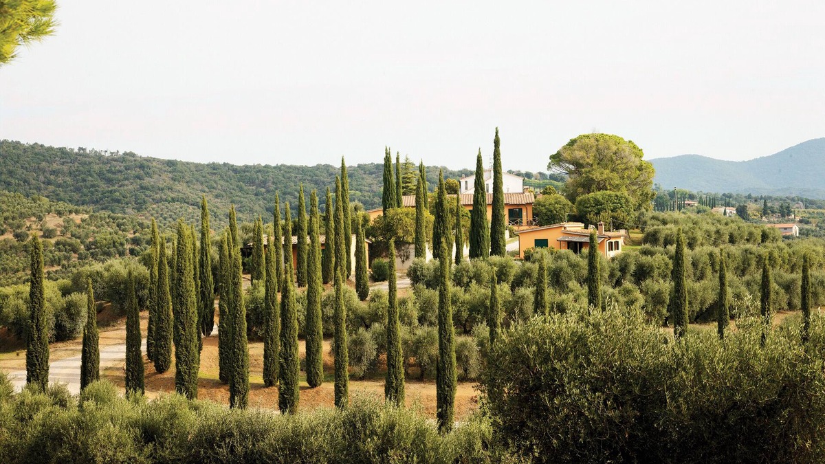 Castiglione della Pescaia House | Spacious vacation home "Azzurrina" in the middle of a beautiful olive grove