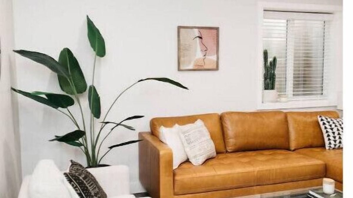 Langley House | Spacious 1 Bedroom Pet Friendly Suite