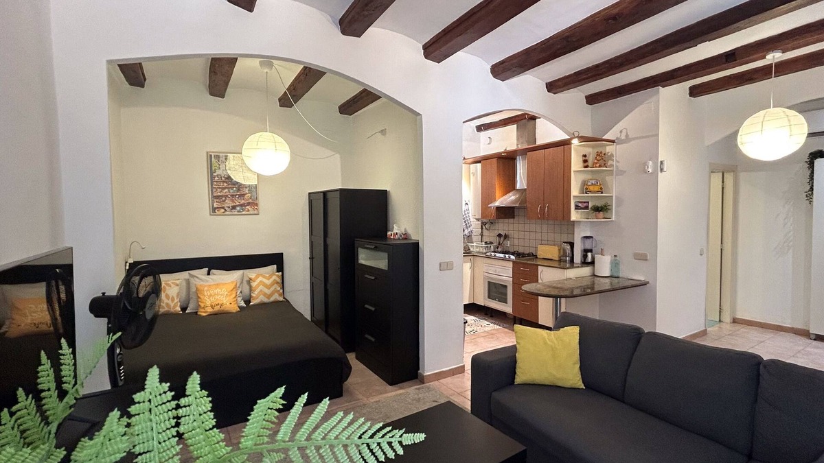 El Raval House | Spacious 1850 Raval 46m Loft. Ideal for Couples and Digital Nomads. Pet-Friendly
