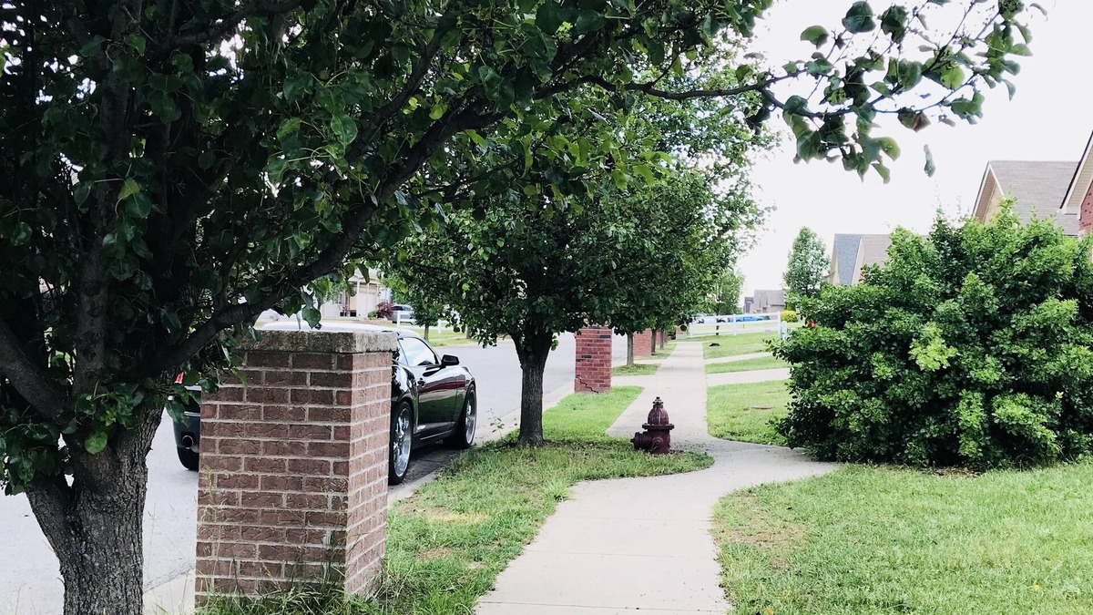 Speed House | Spacious 3 BR Ranch House W Patio Yard in a Quiet Suburb