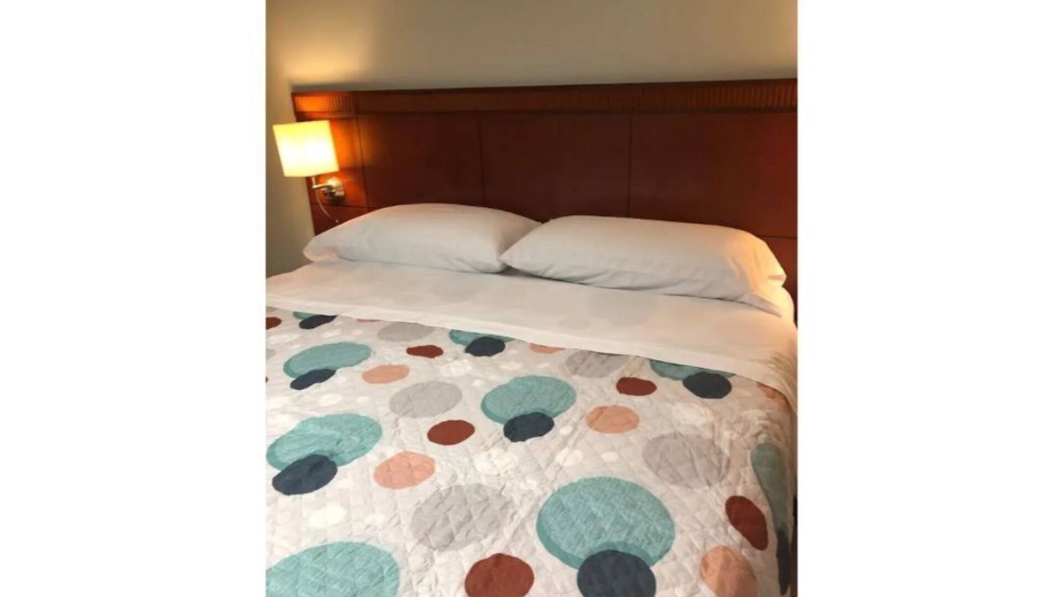 Herndon Boat Rental | Spacious 3Br/2Bth close to INOVA & Reston Hospitals, DC, and Dulles airport