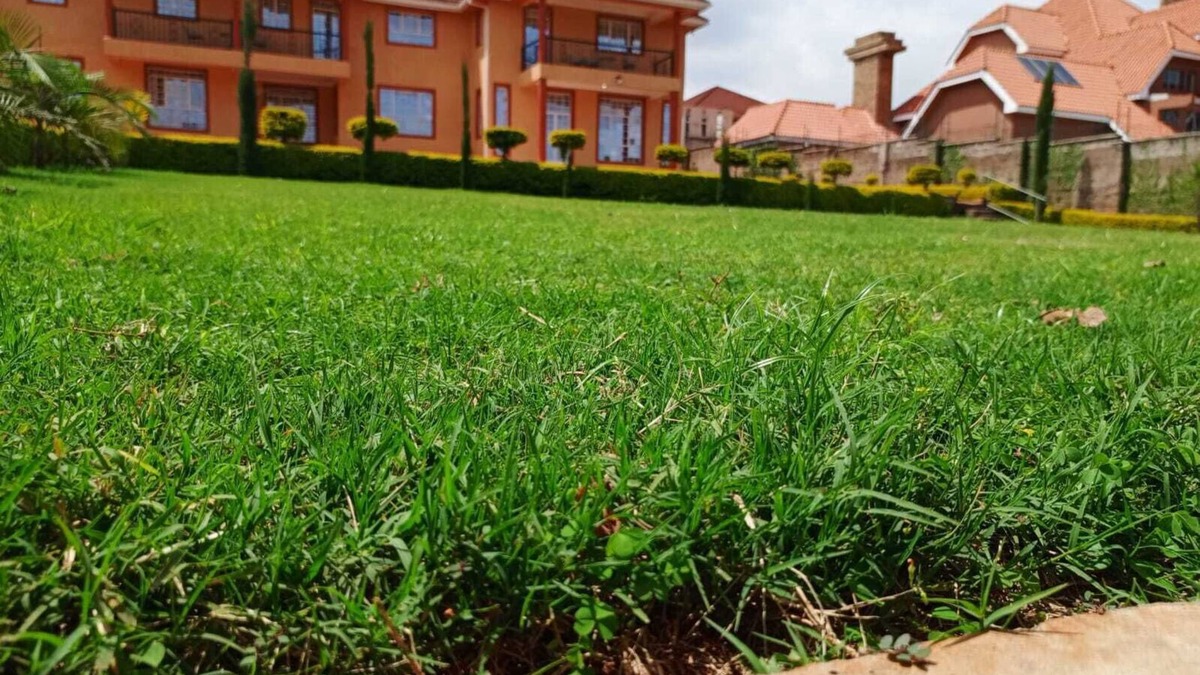 Nairobi House | Spacious 6-bedroom house in Nairobi offering unparalleled luxury and comfort.