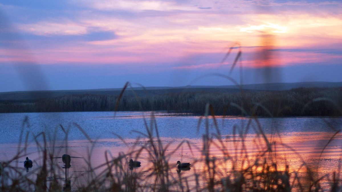 Medina Cabin | SPACIOUS 6-BEDROOM SINGLE LEVEL LODGE IN MEDINA, WIFI, AC, PARKING LOT, GARAGE