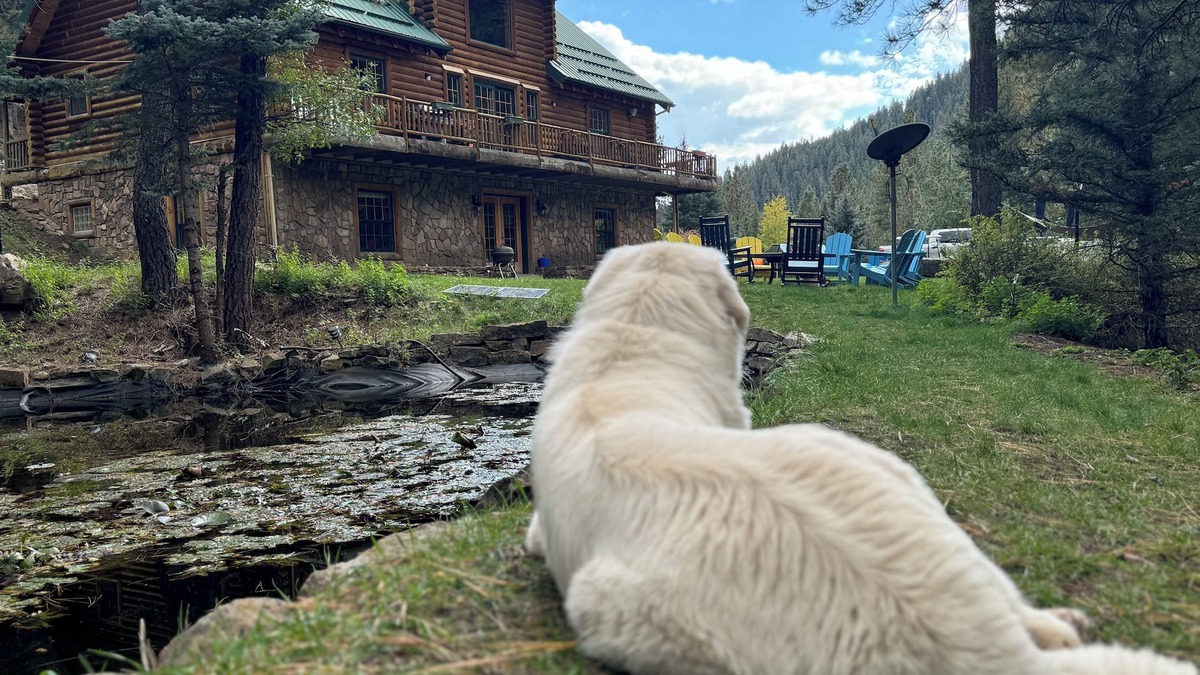 Tererro Cabin | Spacious 6BR, 3 story, Mountain Lodge, Sleeps 14, Forest Views, Pecos River