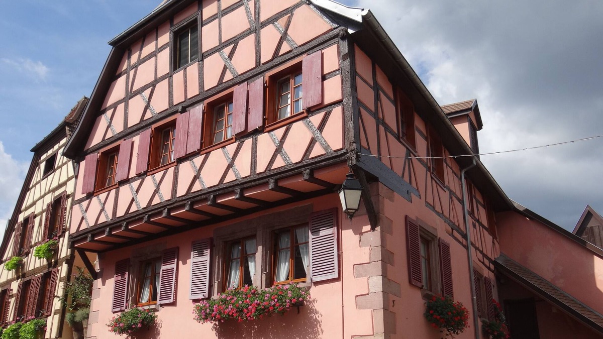 Ribeauville Apartment | Spacious air-conditioned gîte for 2 to 4 people
